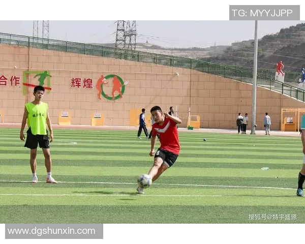 追逐足球梦想的旅程与坚持的力量在绿茵场上绽放光彩